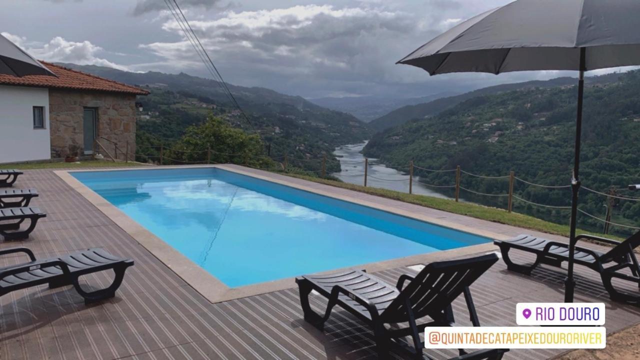 Quinta De Catapeixe Douro River Magrelos Ngoại thất bức ảnh