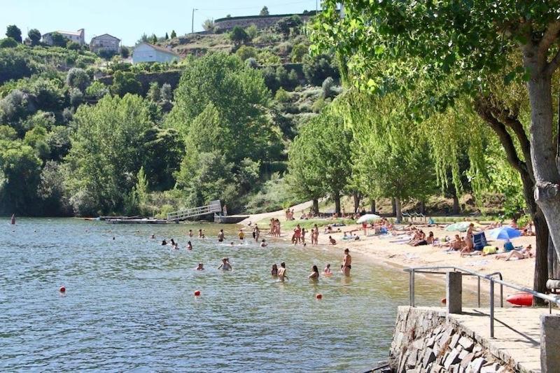 Quinta De Catapeixe Douro River Magrelos Ngoại thất bức ảnh