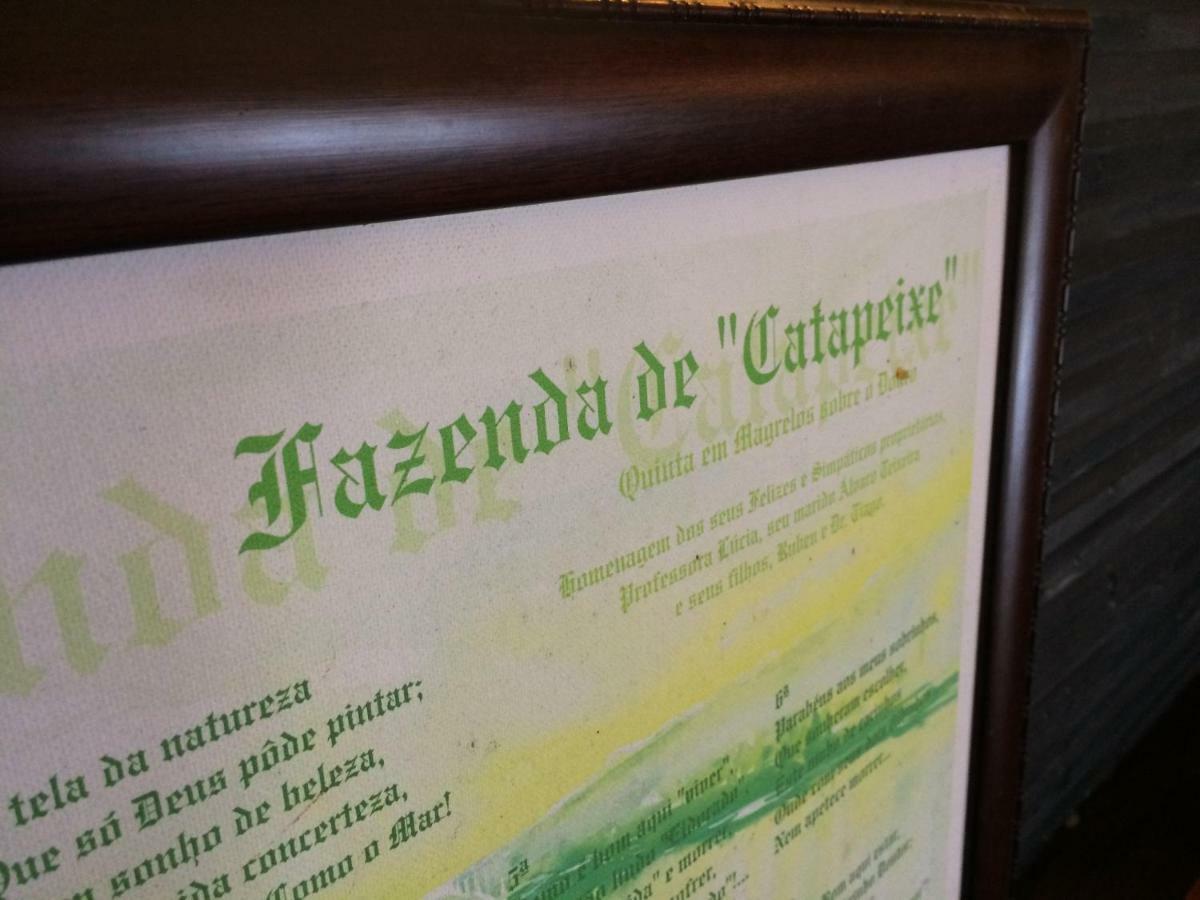 Quinta De Catapeixe Douro River Magrelos Ngoại thất bức ảnh