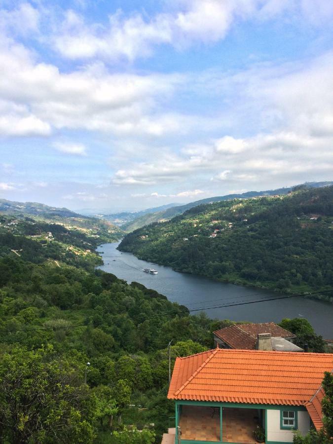 Quinta De Catapeixe Douro River Magrelos Ngoại thất bức ảnh
