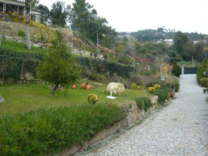 Quinta De Catapeixe Douro River Magrelos Ngoại thất bức ảnh
